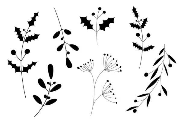 Vector Plantas Dibujadas Mano Hojas Ramas Blanco Negro Colección Ilustración — Archivo Imágenes Vectoriales