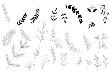   Vektör el bitkileri, yaprakları ve dalları çizdi. Siyah ve beyaz. Botanik illüstrasyon koleksiyonu. Yelken için şablon tasarımı, düğün tarihi, zarf, sevgililer günü, parti için, tatil dekorasyonu.