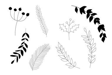   Vektör el bitkileri, yaprakları ve dalları çizdi. Siyah ve beyaz. Botanik illüstrasyon koleksiyonu. Yelken için şablon tasarımı, düğün tarihi, zarf, sevgililer günü, parti için, tatil dekorasyonu.