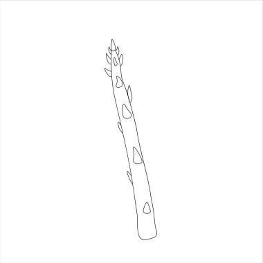 stylized banner with asparagus, vector illustration