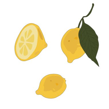 Limonlu stilize pankart, vektör illüstrasyonu