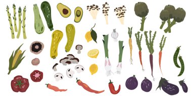   Çizgi film tarzı sebze vektör çizimi