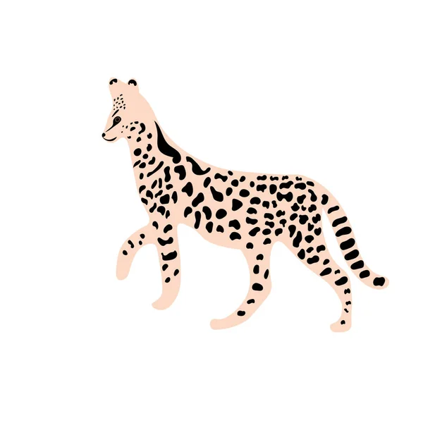 Leopard Eller Gepard Exotiska Djur — Stock vektor