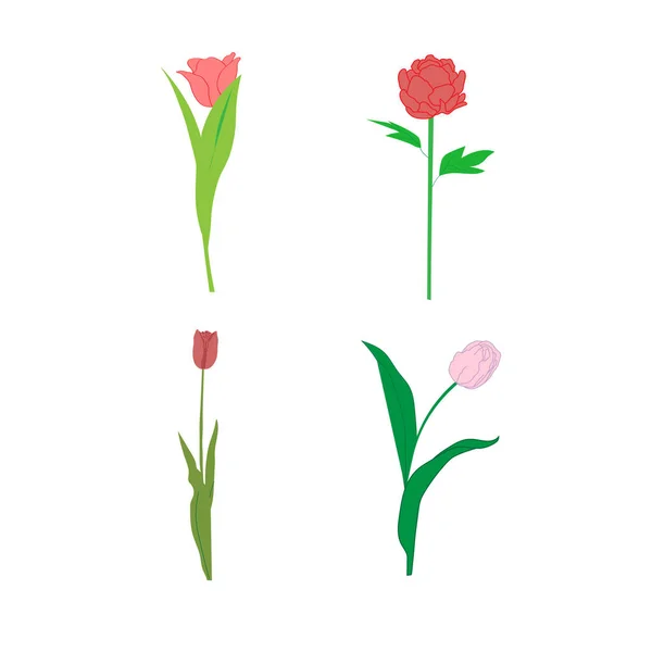 Stiliserad Banner Med Uppsättning Blommor Vektor Illustration — Stock vektor