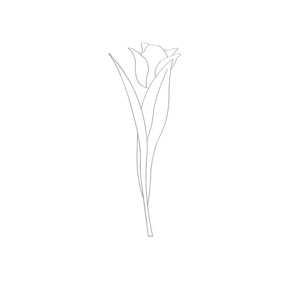 Stilizált Banner Rózsavirággal Vektor Illusztráció — Stock Vector