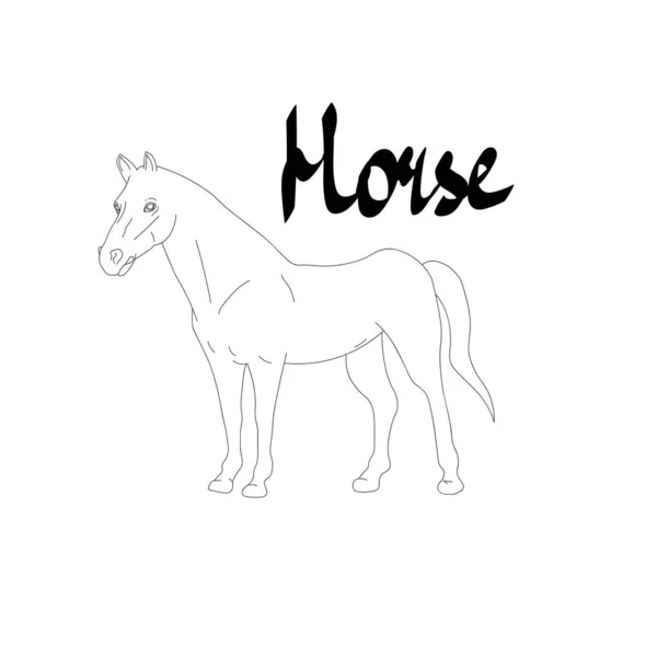 Stilisiertes Banner Mit Pferd Vektorillustration — Stockvektor
