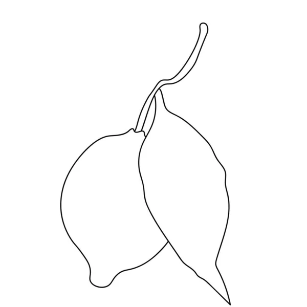 Simple Line Icon Lemon Vegetable Concept Vector Illustration — Stock Vector
