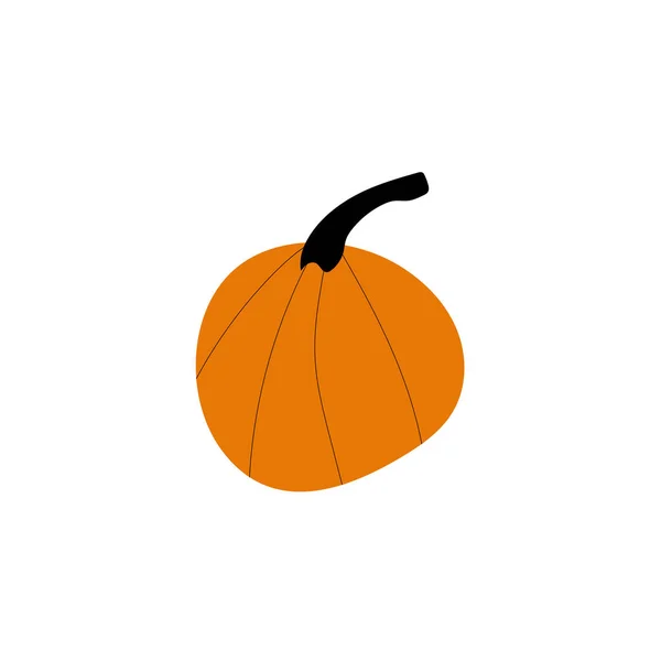 Podzimní Dýňová Rostlina Zemědělský Symbol Podzimní Výzdoba Čerstvé Zdravé Jídlo — Stockový vektor