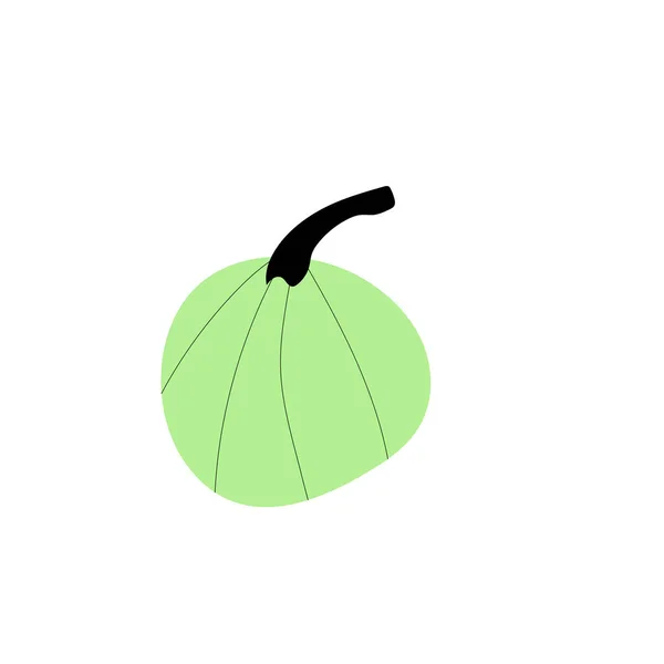 Podzimní Dýňová Rostlina Zemědělský Symbol Podzimní Výzdoba Čerstvé Zdravé Jídlo — Stockový vektor