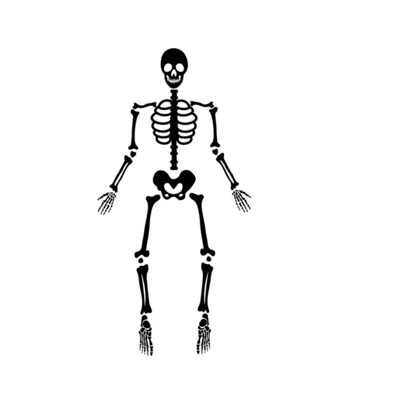 Halloween Strašidelné Kosti Skeleton — Stockový vektor