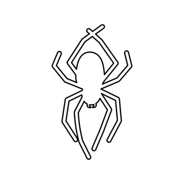 Kara cadılar bayramı korkunç siluet örümceği