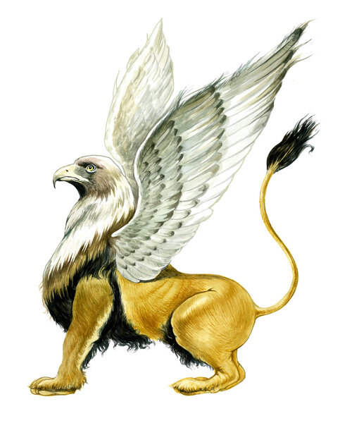 Griffin