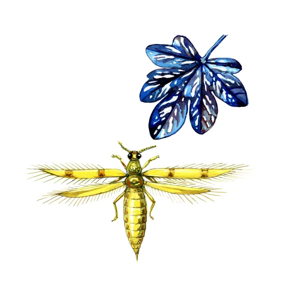Thripse. ein Pflanzenschädling. Botanik — Stockfoto