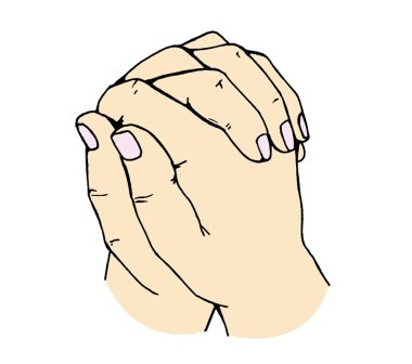Kaplumbağa. Mudra