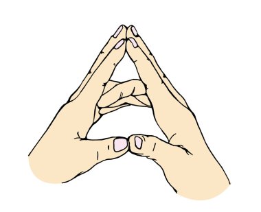Lotus uçan. Mudra