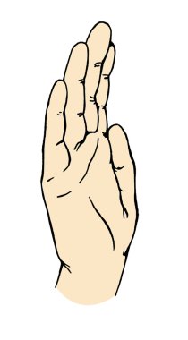 Basiret Sarayı. Mudra