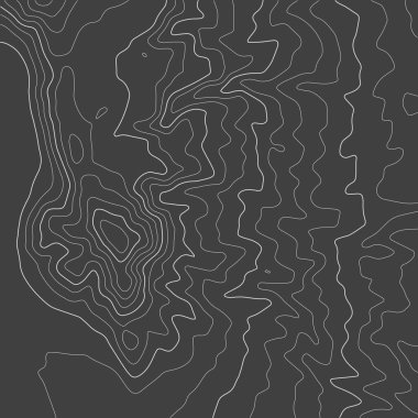 Topografik harita arkaplanı. Şebeke haritası. Sınır çizgilerinin şekli. Soyut vektör illüstrasyonu.