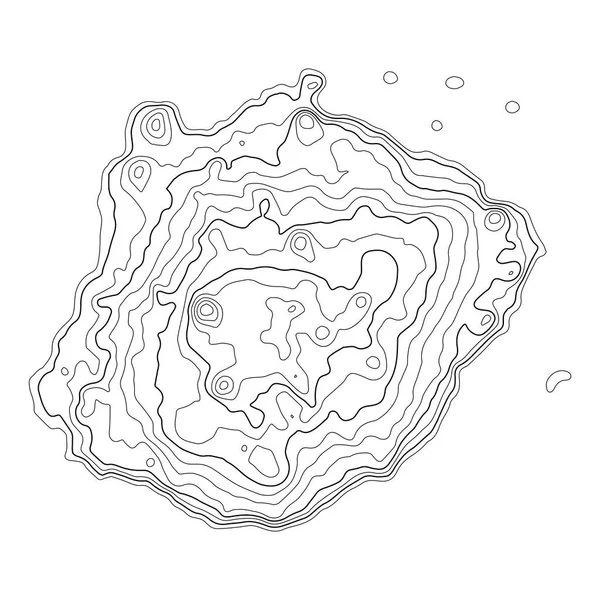 地形図の背景 グリッドマップ 輪郭線のパターン ベクターイラスト — ストックベクタ