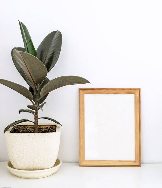 ficus flower in a pot with a wooden frame on a white table, Scandinavian motives, vertical