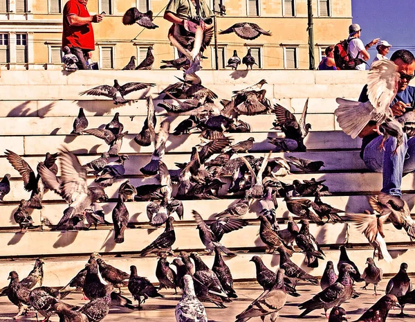 Europa Meydanında Güvercin Sürüsü — Stok fotoğraf