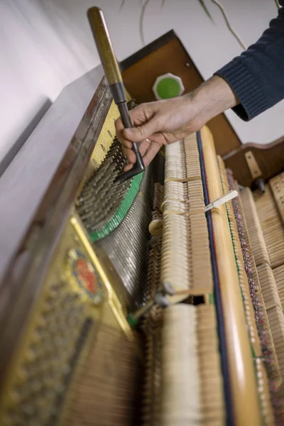 Klavier Stimmen Tastendruck Zuhören Klavierstimmen Stimmer Musical Vertikal — Stockfoto