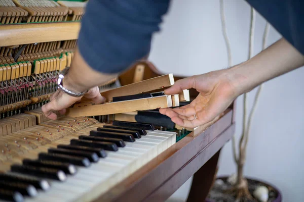 Klaviertasten Einfügen Klavierstimmung Stimmgerät Musical Horizontal — Stockfoto