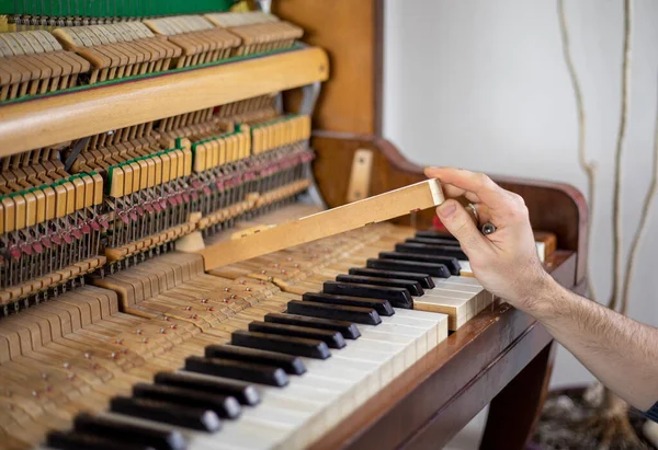 Klaviertasten Klavier Klavierstimmung Stimmer Musical Ändern Horizontal — Stockfoto