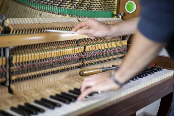 Klavierstimmen Klavierstimmen Stimmendes Musizierendes Horizontales — Stockfoto