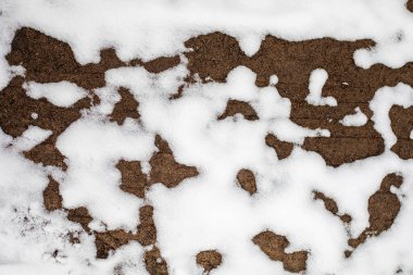 Orman zeminine düşen ilk kar, doğal arka plan.