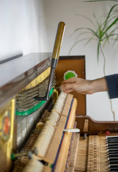 Afinar Piano Noquear Las Clavijas Escuchar Afinar Piano Afinador Musical —  Fotos de Stock