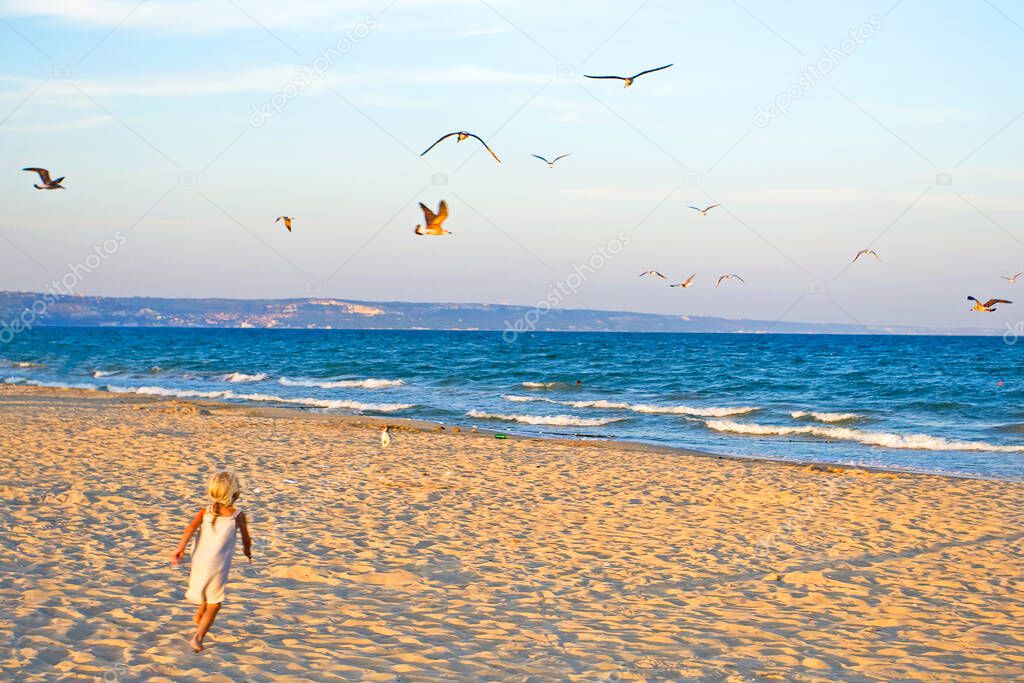 little girl runs to meet puppy jack russell terrier on a large sandy beach with seagulls soaring in the sky