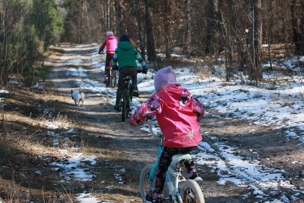 happy kids ride bicycles with dog in the forest, horizontal
