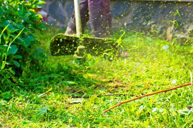 araç dizgisi çim biçici