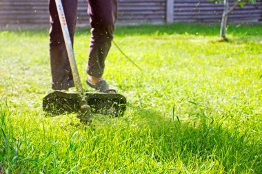 Trimer çimlerde çimenleri biçiyor, güneşe karşı.