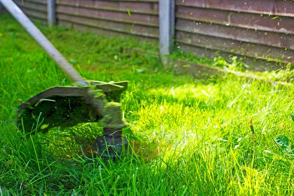 Memangkas Rumput Tumbuh Halaman Membentuk Lingkaran — Stok Foto