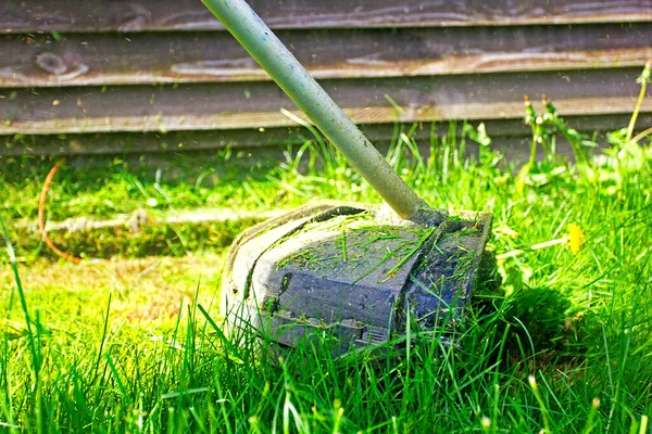 Trimer Memotong Rumput Hijau Tumbuh Dengan Dandelion — Stok Foto