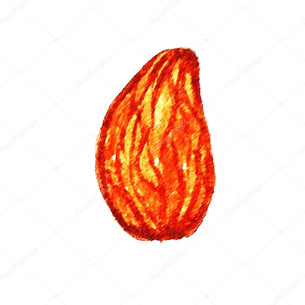 watercolor almond nut on a white background, illustration, food