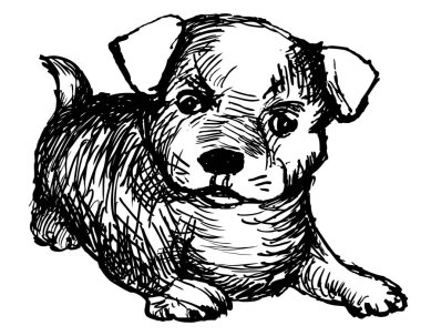 Küçük Jack Russell Terrier köpeği beyaz bir arka planda uzanıyor, mürekkep çizimi, vektör çizimi, izole edilmiş
