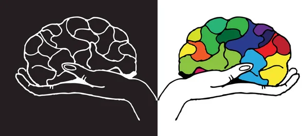 Cerveau Tenir Main Noir Blanc Coloré Dessin Psychologie Équilibre Vecteur — Photo