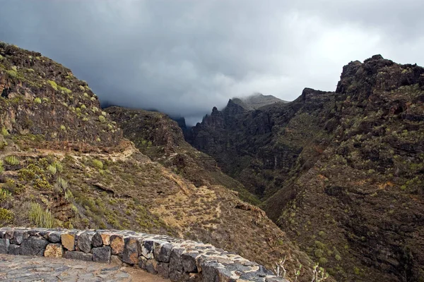 Fog Envelops Mountains Island Tenerife Altitude 2000 Thousand Caribbean Island — Stock Photo, Image