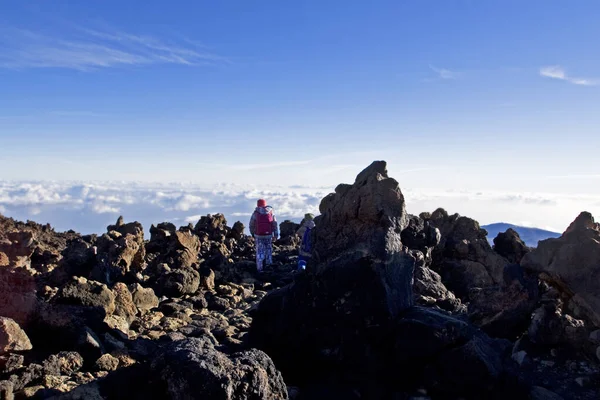 Boldog Gyerekek Ereszkednek Teide Vulkánból Kanári Szigeteken 3500 Méter Magasságban — Stock Fotó