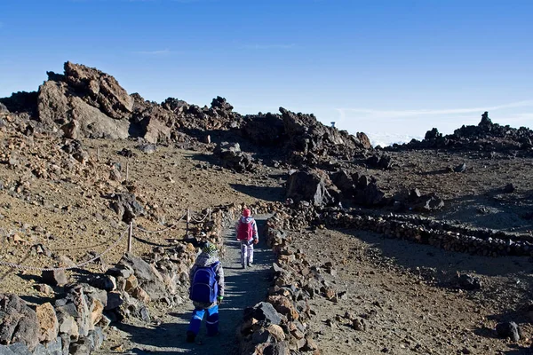 Felice Mattina Bambini Scendono Dal Vulcano Teide Nelle Canarie Lava — Foto Stock