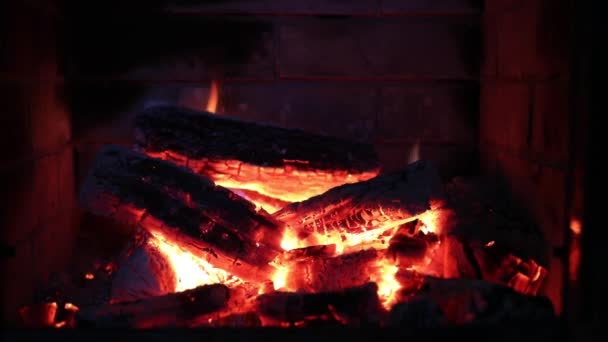 Llama Fuego Con Madera Roble Chimenea — Vídeos de Stock