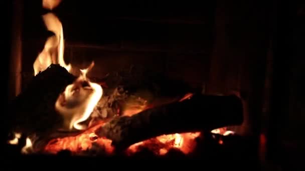 Şöminede Yanan Bir Nesne Yansımasında Bir Kedi Olan Ateş Alevi — Stok video