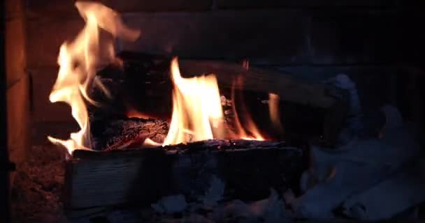 Ρίξει Καυσόξυλα Ένα Ανοιχτό Τζάκι Μια Φλεγόμενη Φωτιά — Αρχείο Βίντεο