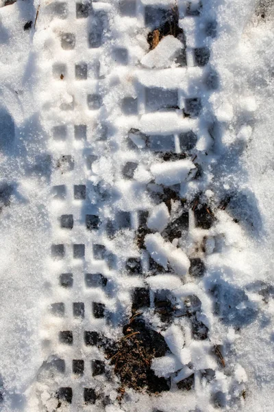 Відбитки Снігу Від Коліс Автомобіля Лісі Вертикальні — стокове фото