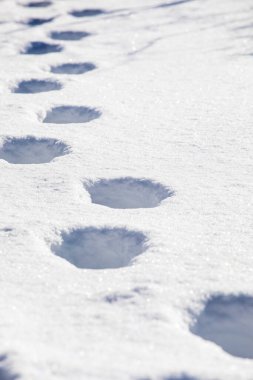 Kardaki ayak izleri güneşe karşı buzla kaplı, dikey doku.
