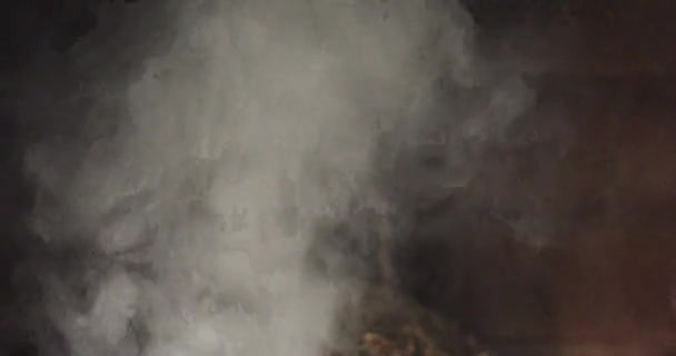 Ateş Alevlendiğinde Şöminede Duman Konsept — Stok video