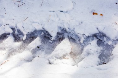 Karlı bir yolda beyaz kar üzerinde araba lastiği izleri, doğal bir felaket.