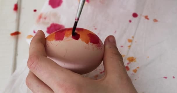 Пофарбуйте Пасхальне Яйце Пензлем Різнокольорову Смужку Готуючись Великодня — стокове відео